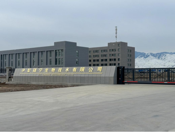 亲友游戏中心-亲友多乐斗-亲友天天坦克大战